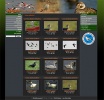 Уеб дизайн, , WildLife Photos
